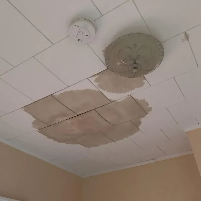 Ceiling Water Damage Repair in Duval County, FL